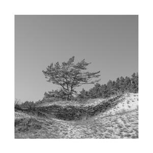 美女内裤被扒白浆喷水被蹂躏潮
